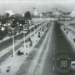 Topkapı – Walnut bond