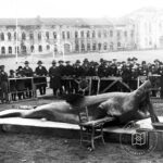 Taksim Stadium Exhibitions Shark in Marmara