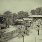 Opinion from Timurtaş Pasha