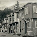 Synonyms Avenue / Five Homes