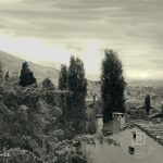 Bursa Plain View
