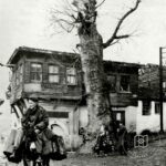 Çınarlı Çeşme