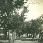 Arnavutköy Caddesi