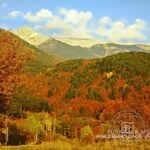 Coldpınar / Uludag