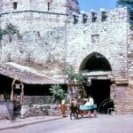 Last Horse Cart From Silivri Gate