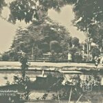 Sulphur Garden