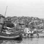Sarıyer