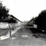 Rami Winter