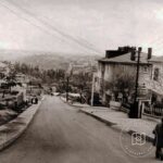 Rami Rifpaşa Avenue