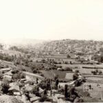 Piyalepaşa Bostanleri