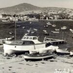 Pendik ve Gözdağı