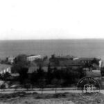 Kartal