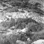 Knidos Demeter Temenosu – Demeter Heykelinin Bulunduğu Alan