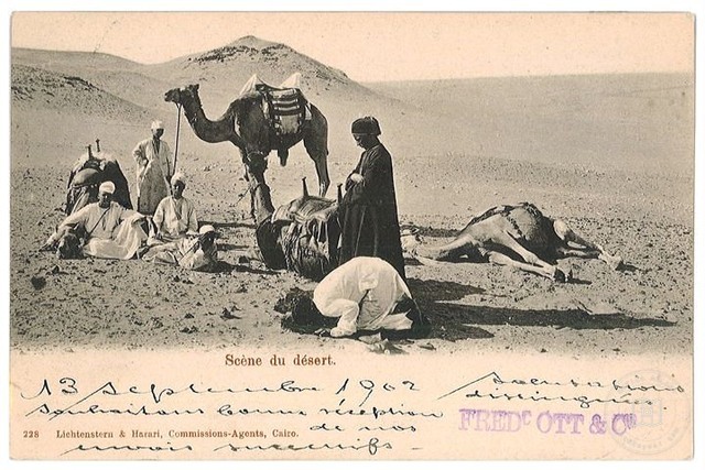 Yer bilgisi belirsiz — Çölde Develer ve İnsanlar