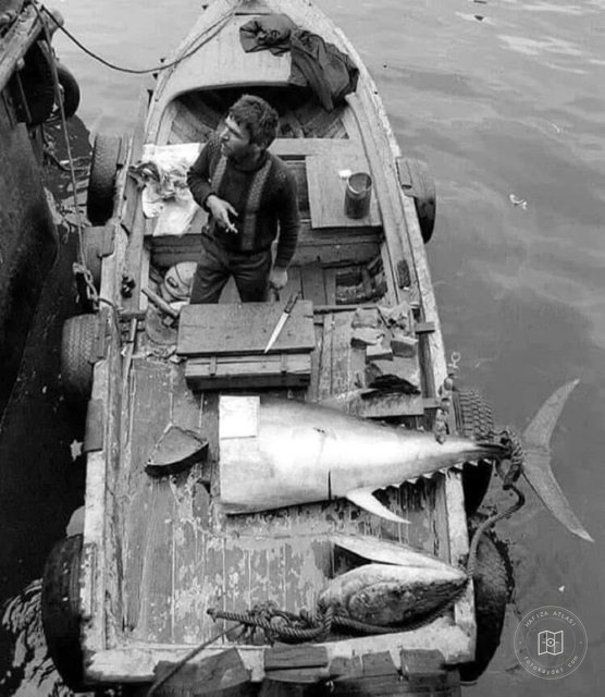 A fisherman selling tuna from a boat at Galata Bridge, 1979