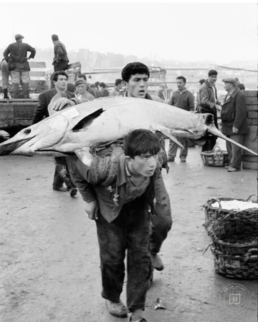 Azapkapı Balık Hali, 1964