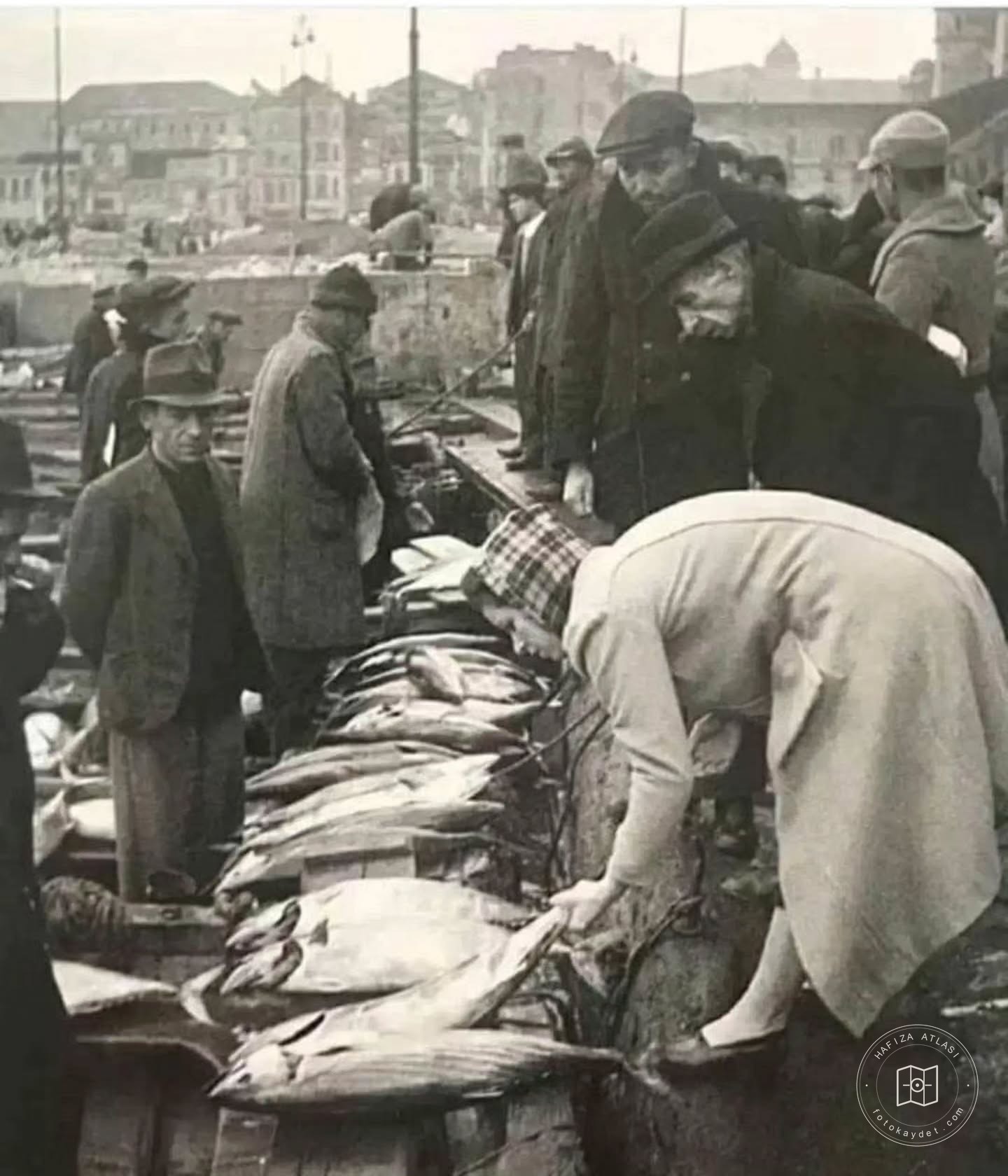 İstanbul’da torik balıkları, 1965