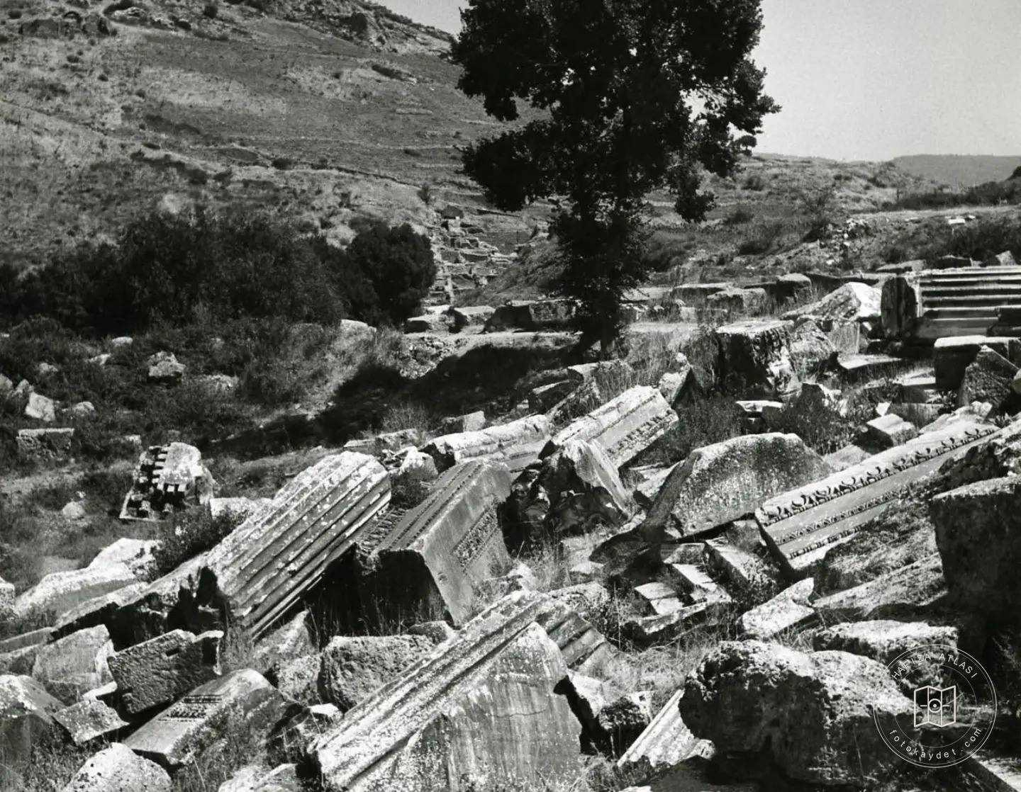 The statue of Artemis and women in the Ephesus Museum courtyard, 1962