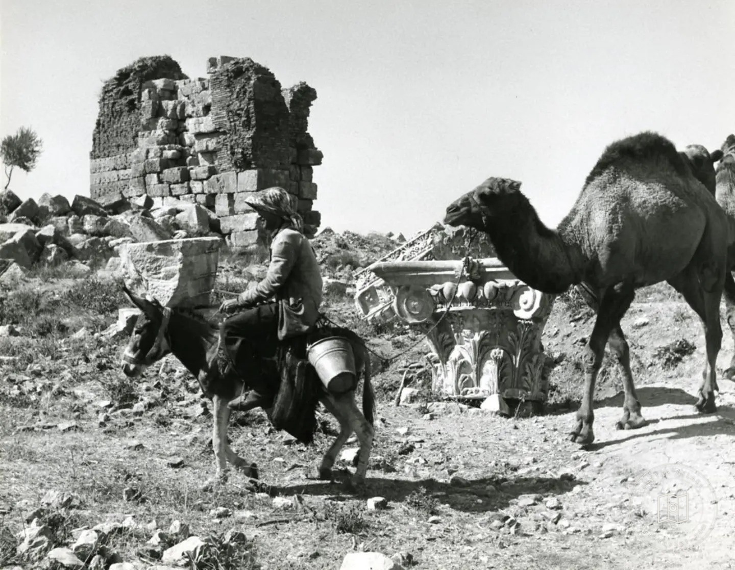 The statue of Artemis and women in the Ephesus Museum courtyard, 1962
