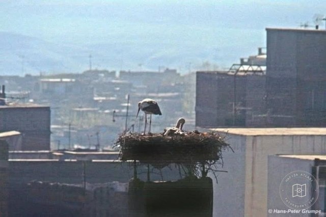 Diyarbakır, 1993