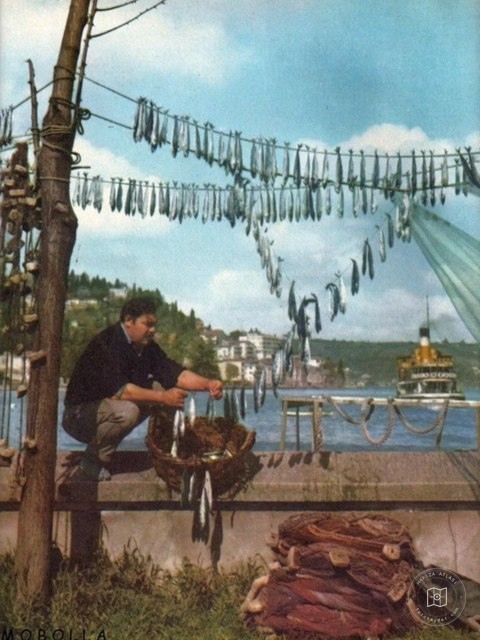 Everyday life in Istanbul