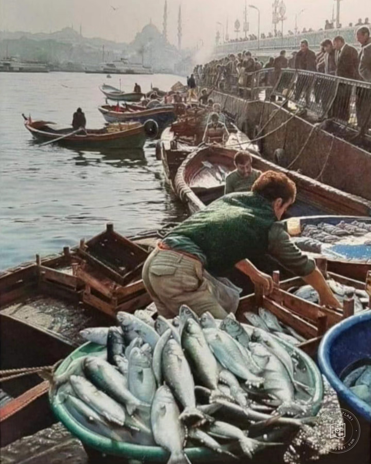 Karaköy’de balıklar, 1977