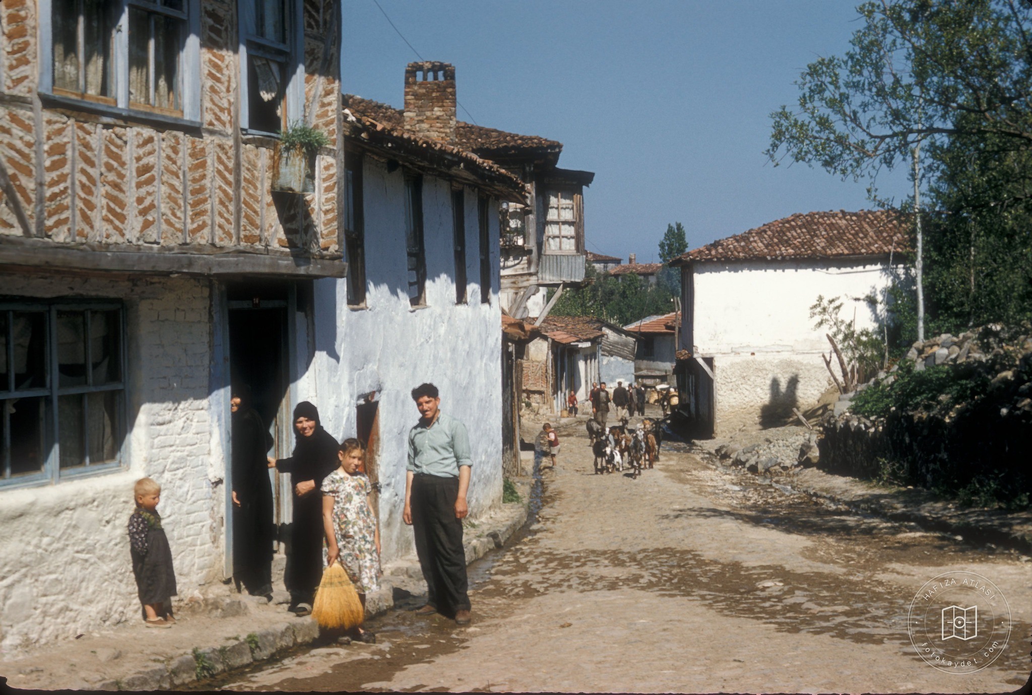 Çınarcık'ta sokak, 1956
