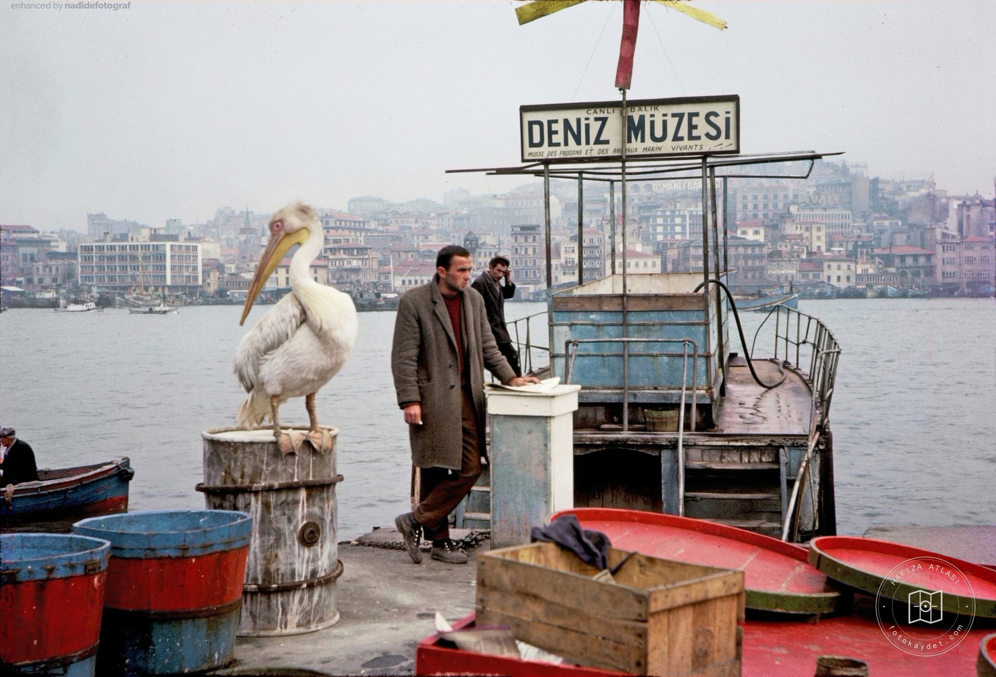 Pelikan Yaşar at the Golden Horn, 1965