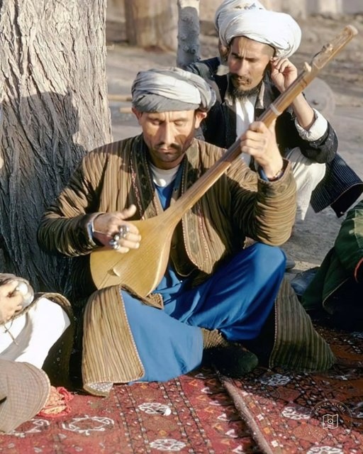 Afganistan'da Türkmenler, 1964–1973