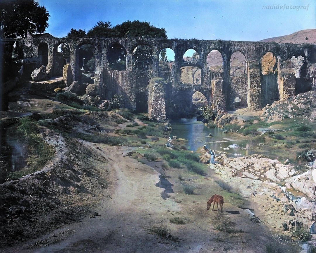 Ruined aqueducts and animals, 1905–1908