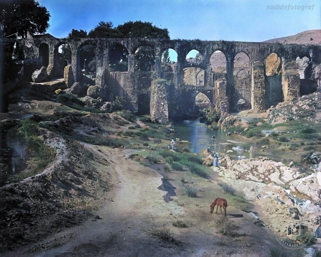 Ruined aqueducts and animals, 1905–1908