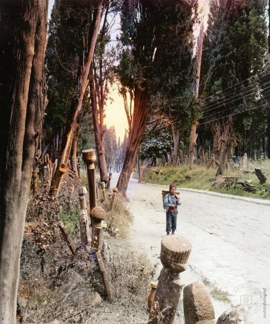 A child in a cemetery