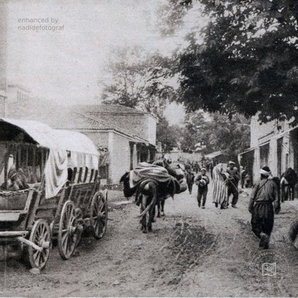 A convoy of ox carts in Trabzon