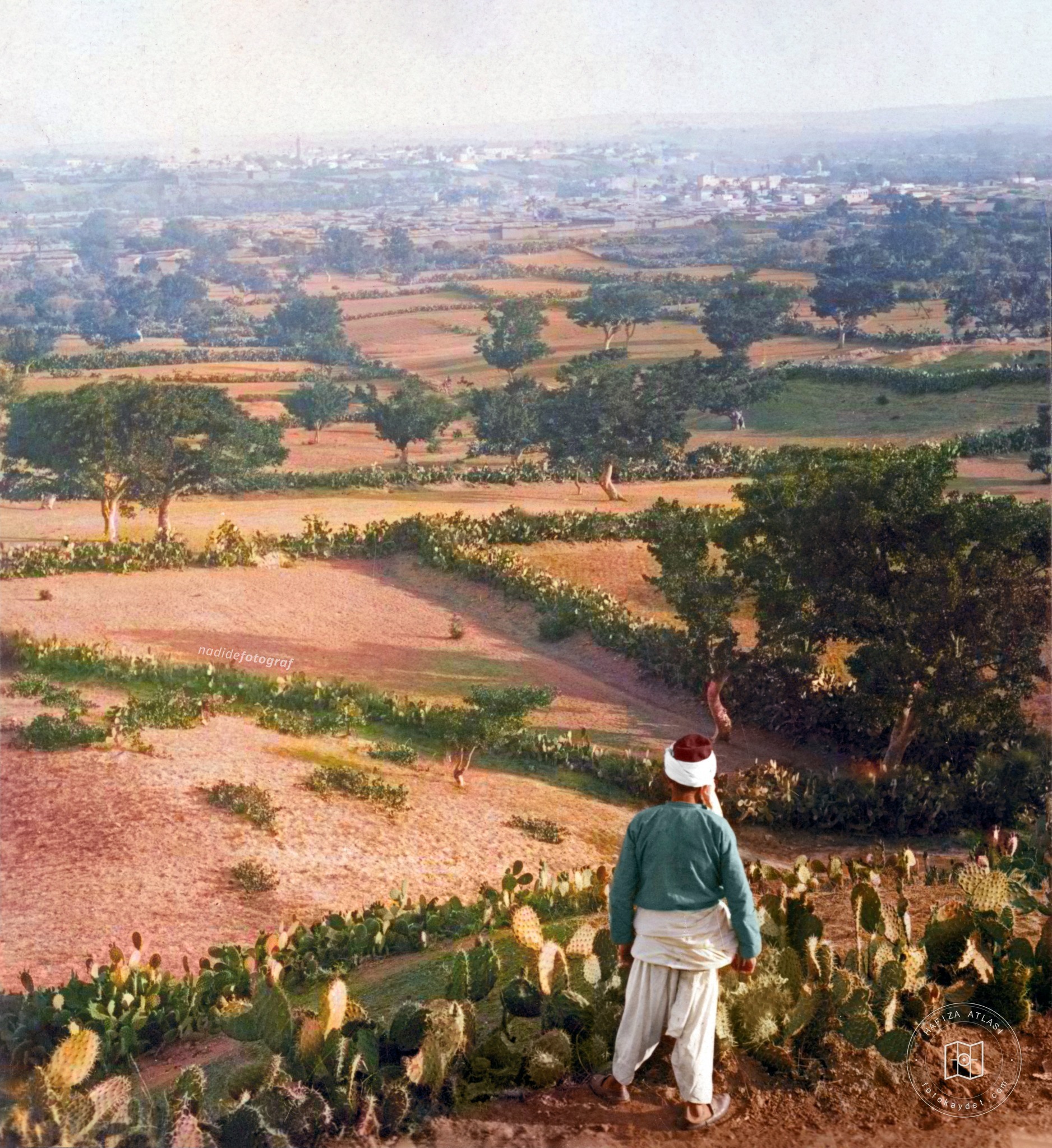 View of Gaza, 1911
