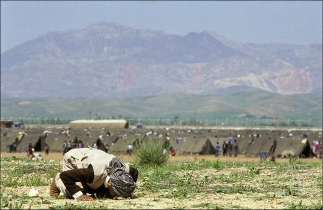 Kurdish refugees at Silopi camp, 1991