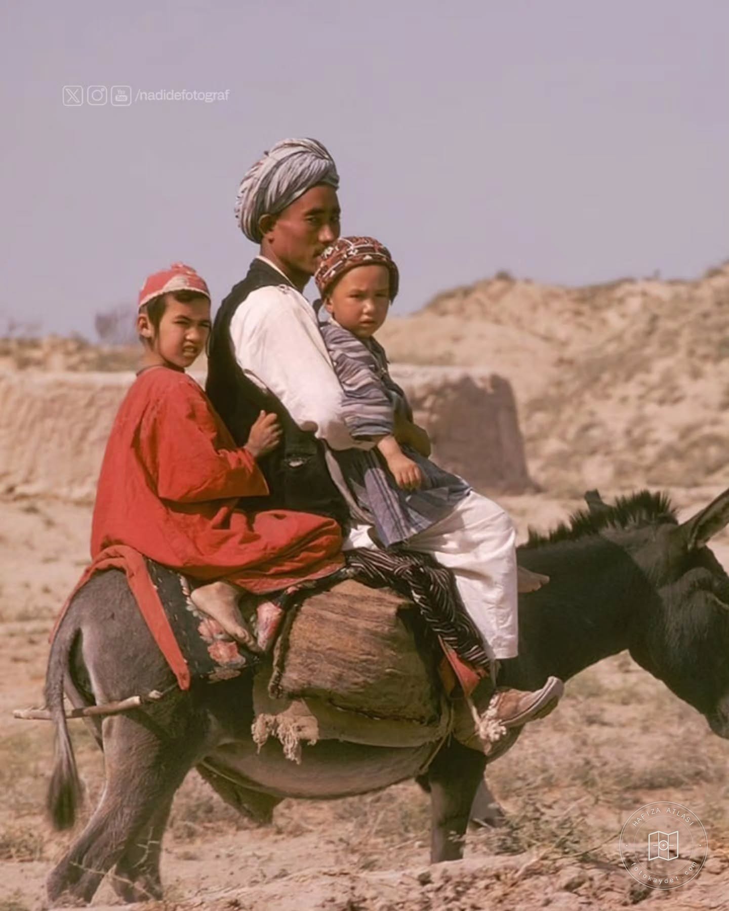 Afganistan'da Türkmenler, 1964–1973