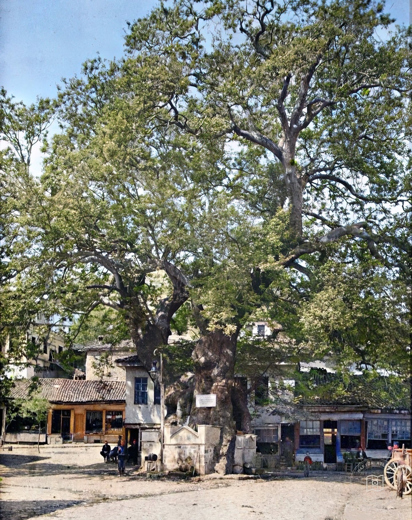 Ohri Çınar Meydanı, 1913