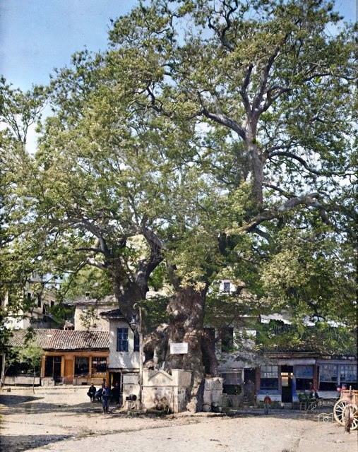 Çınar Square in Ohrid, 1913