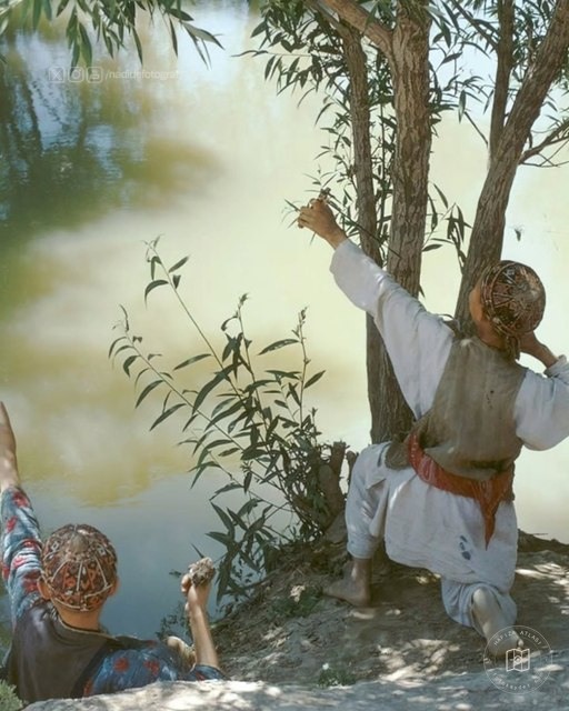 Afganistan'da Türkmenler, 1964–1973