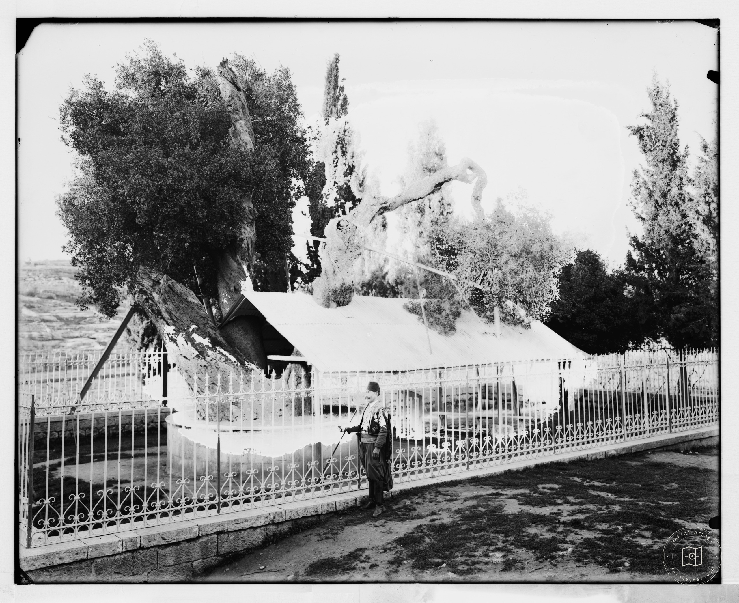 Hebron (El-Khalil). Abraham's Oak