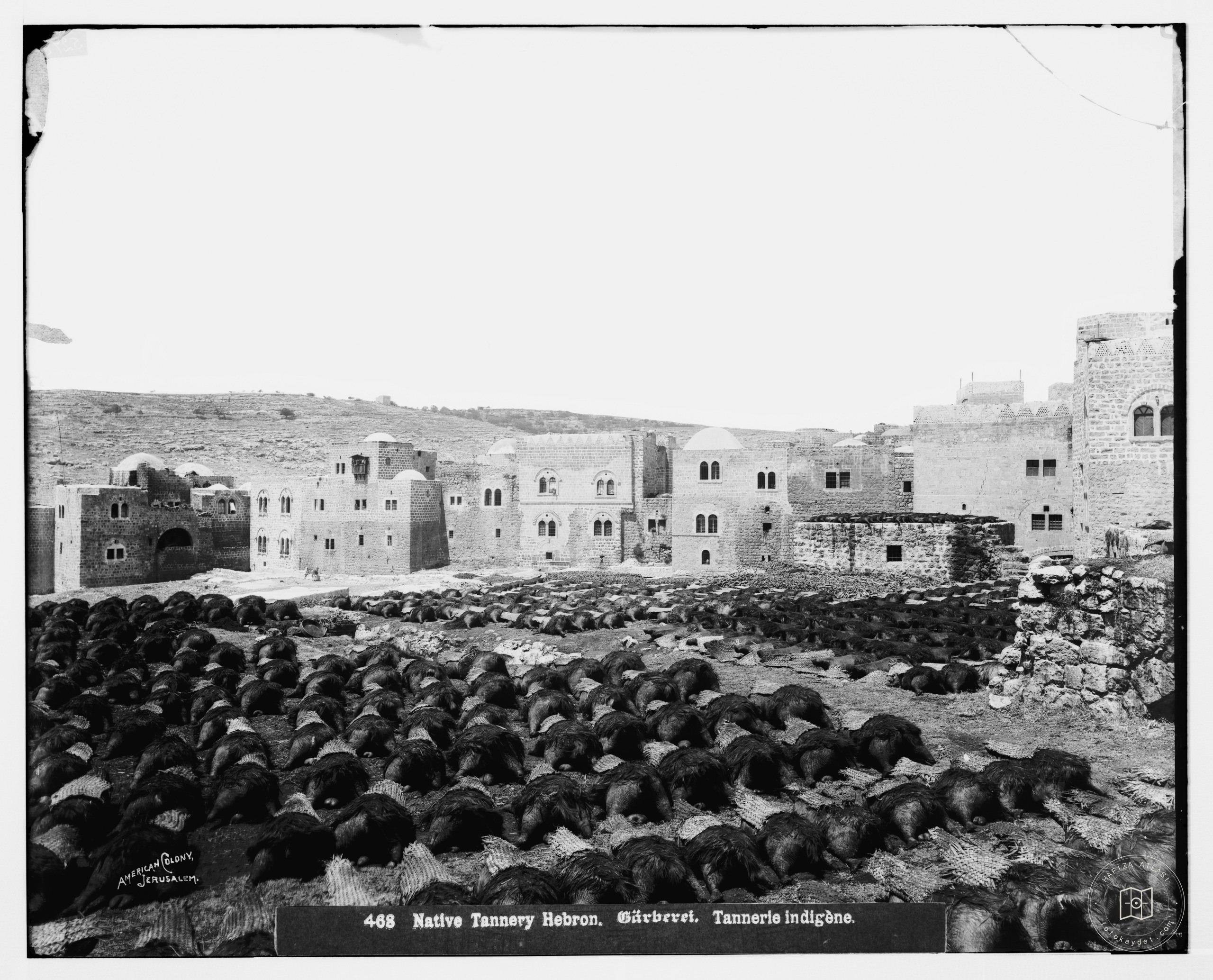 Hebron (El-Khalil). Tanning skins for water bottles