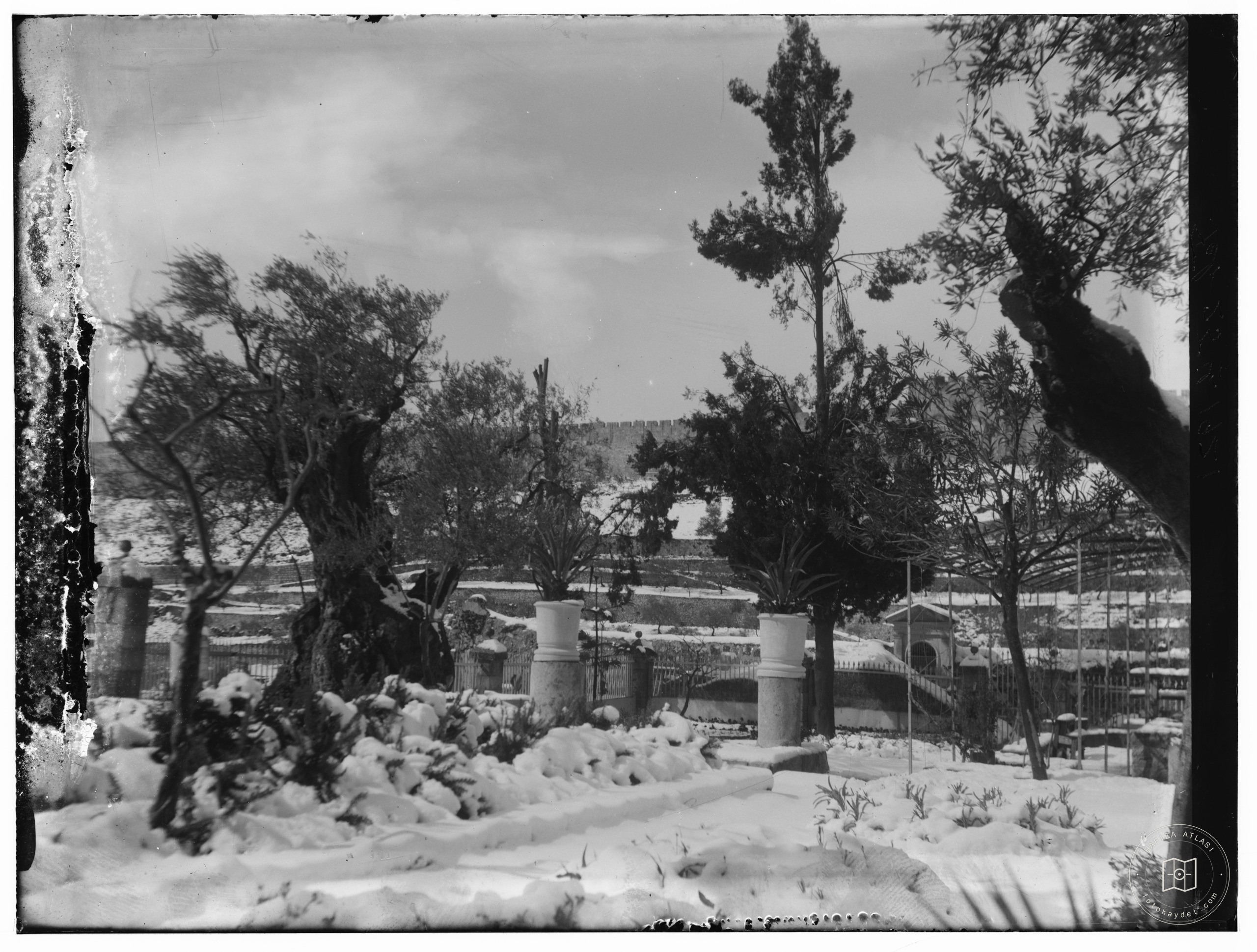 Snow in Jerusalem, 1921. Snow, trees and garden?