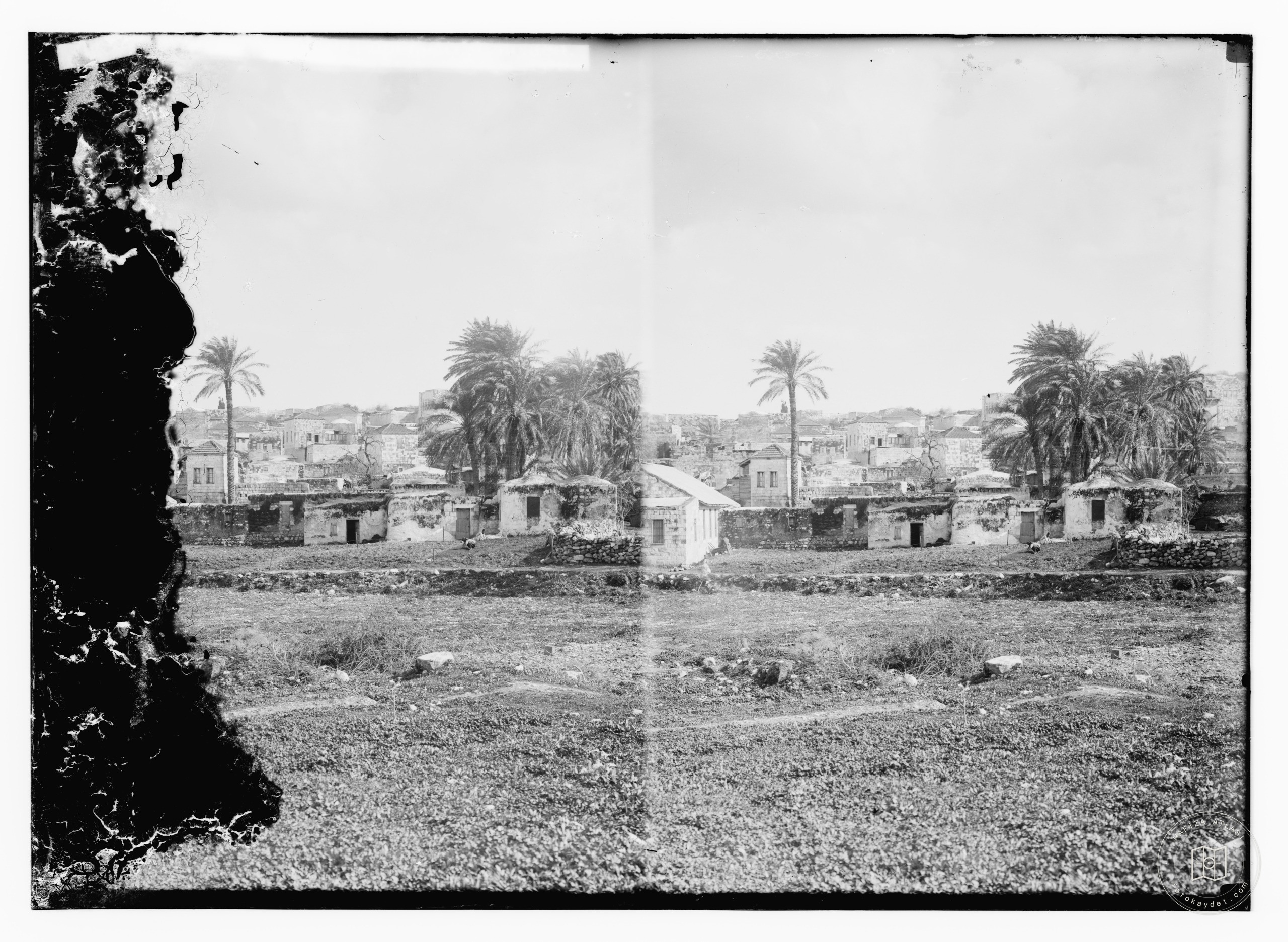 Jenin and its surroundings