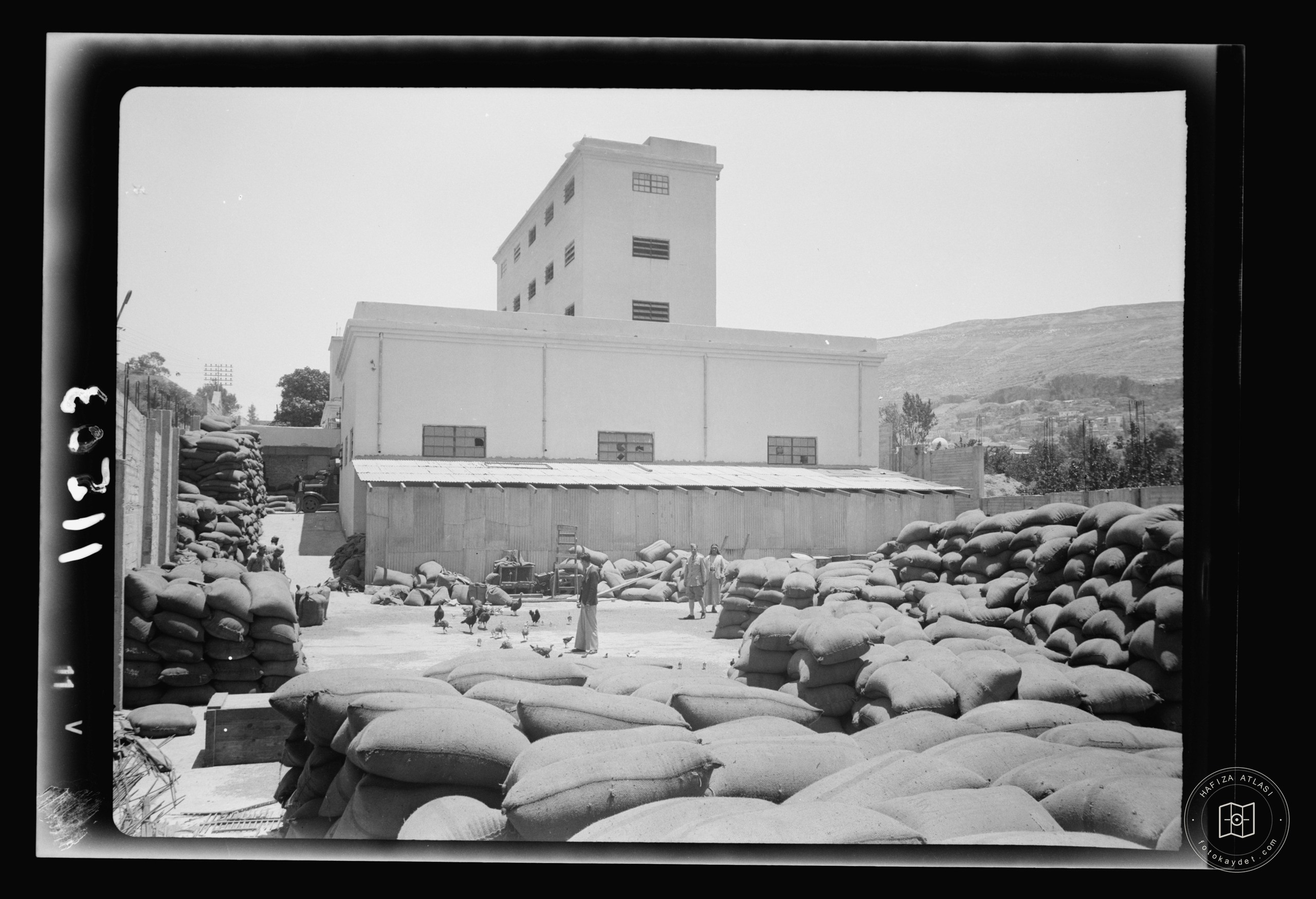 The Naameh Flour Mills Ltd. A general view from the West showing large piles of grain, Nablus