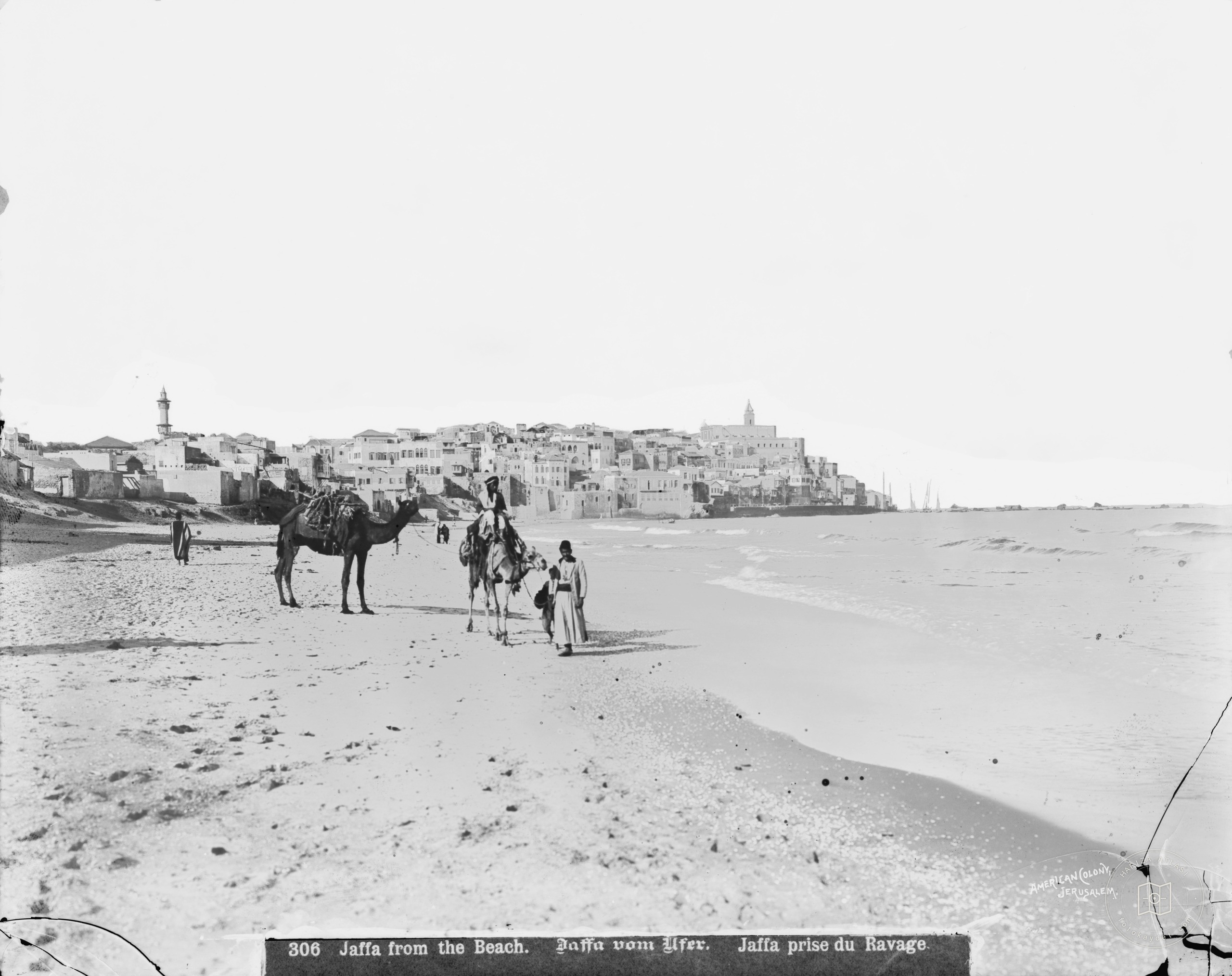 Jaffa (Joppa) and environs. Jaffa from the north beach