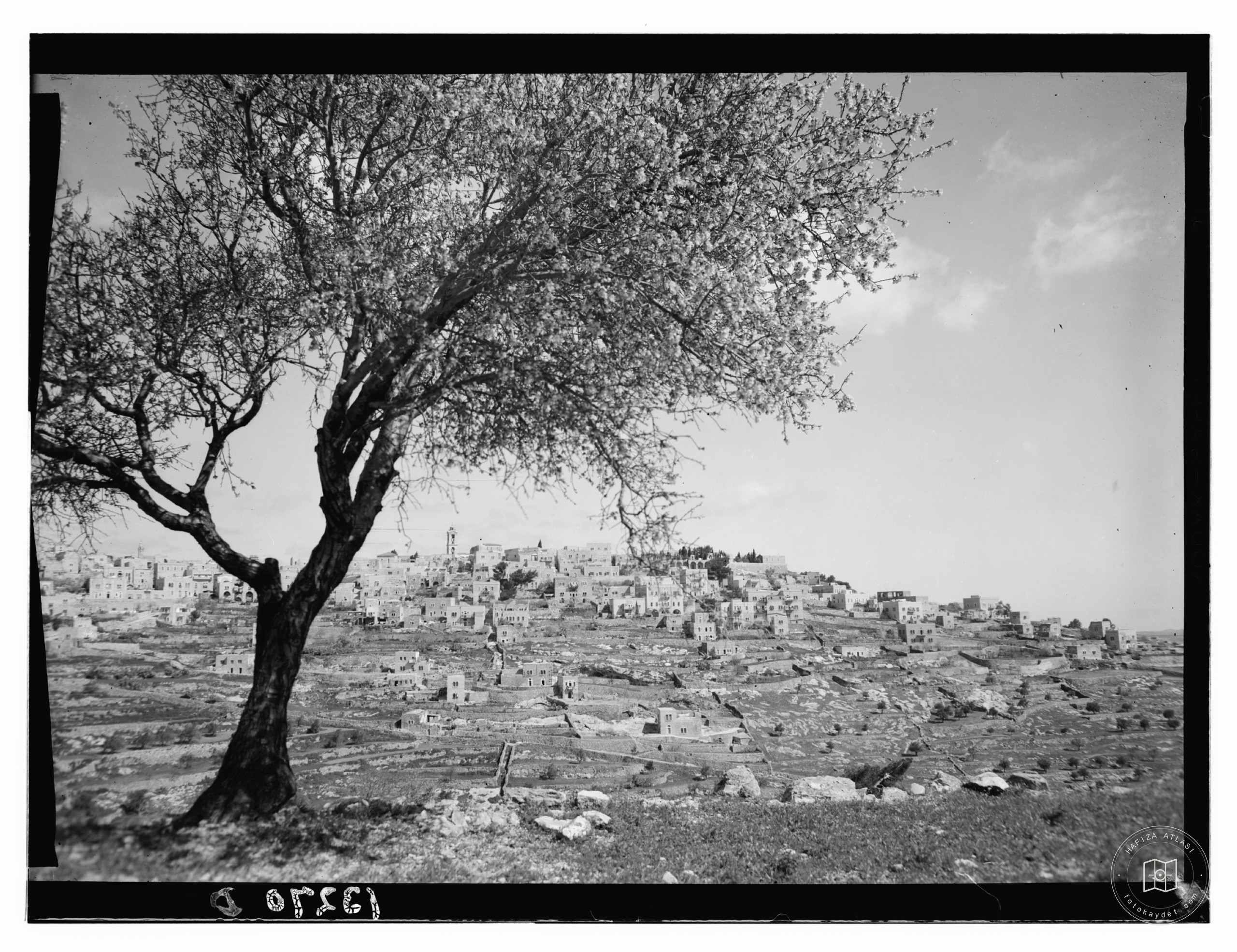 Bethlehem from the south