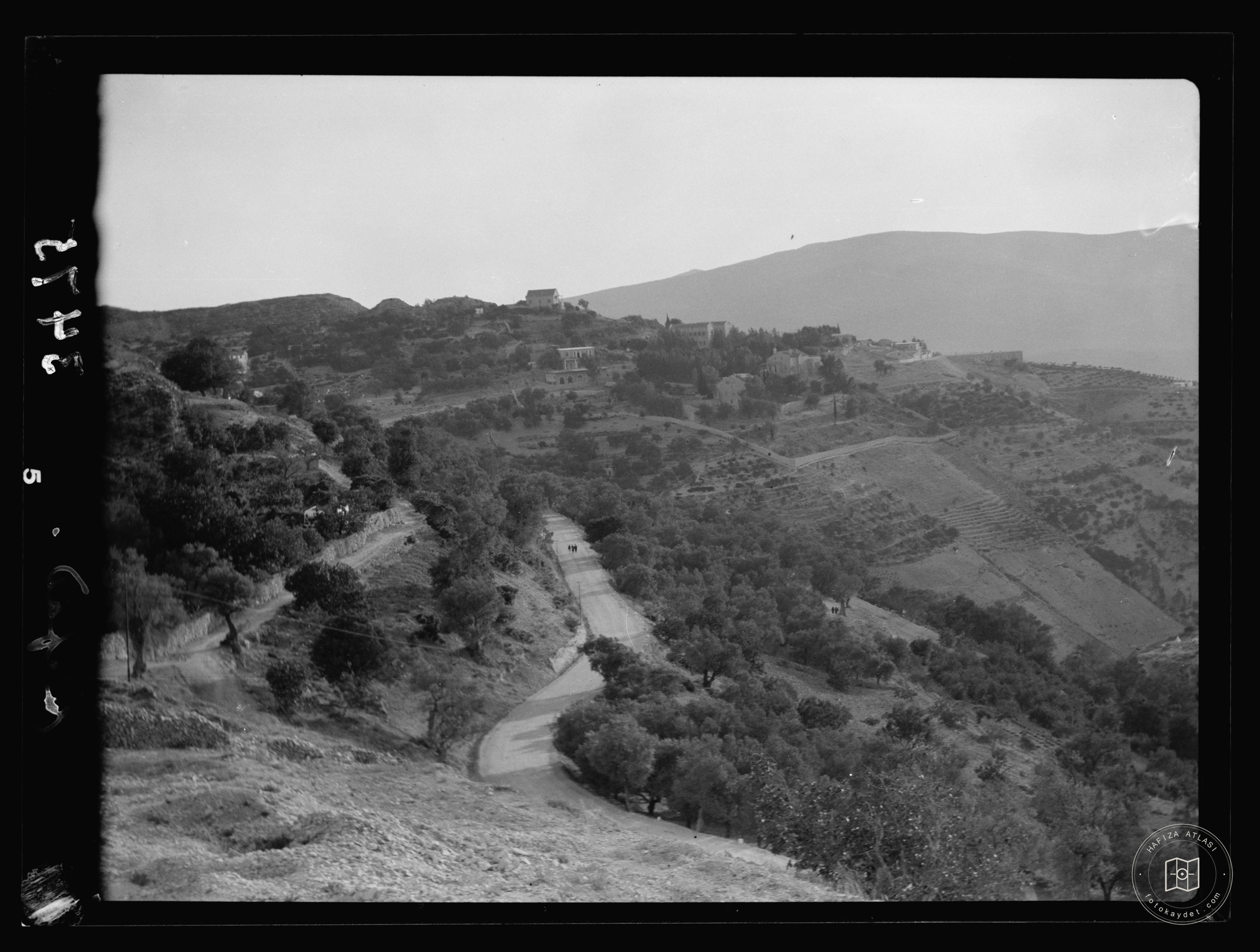 Safed — Zeytinliklerden görünüm