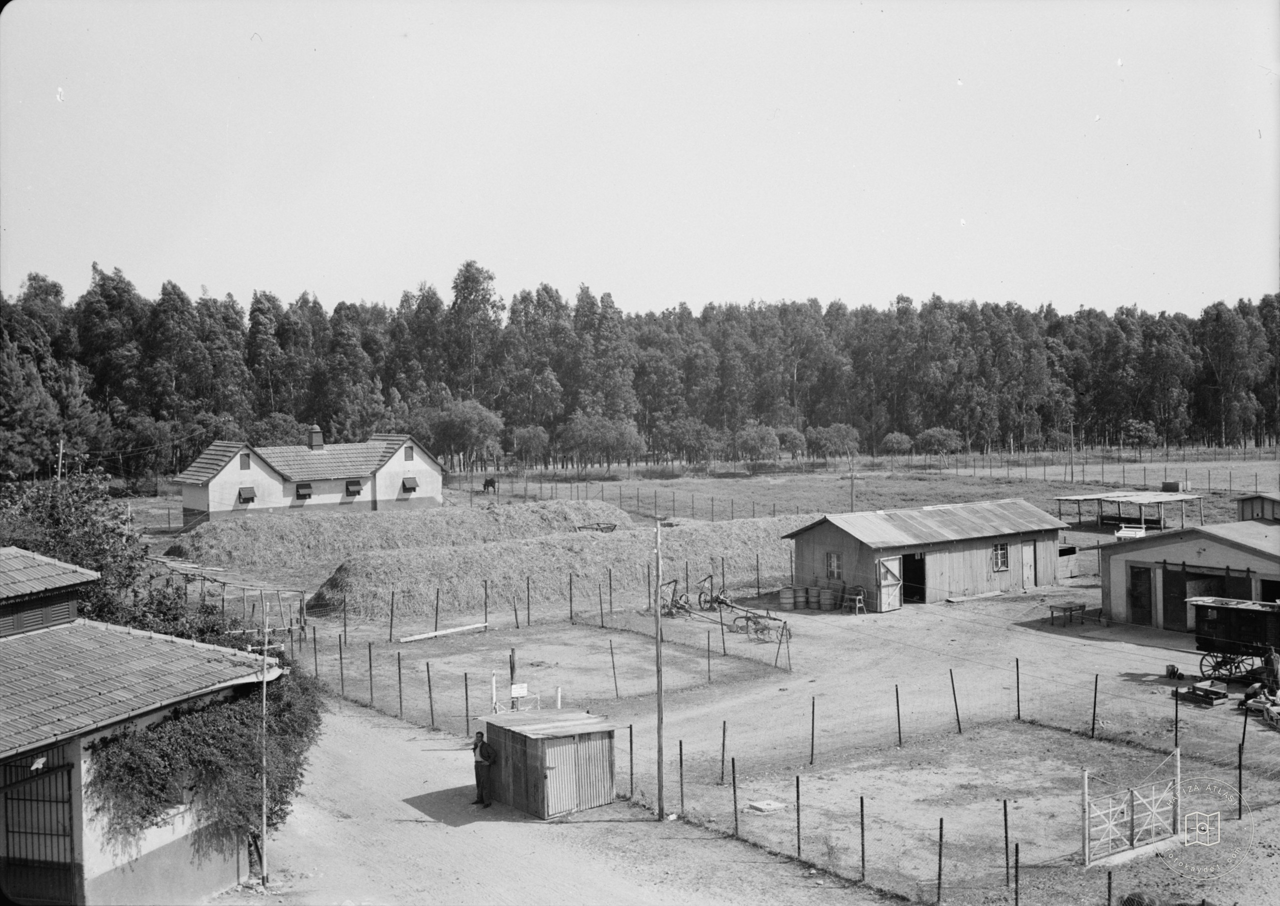 Government Stud Farm, Acre. The stables and barnyard
