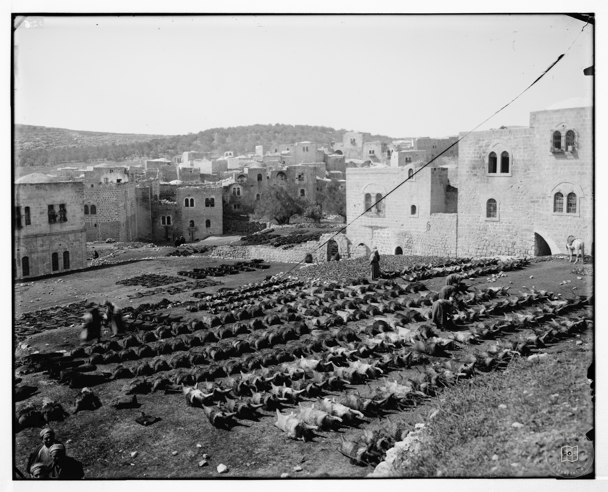Hebron (El-Khalil). Tanning skins for water bottles