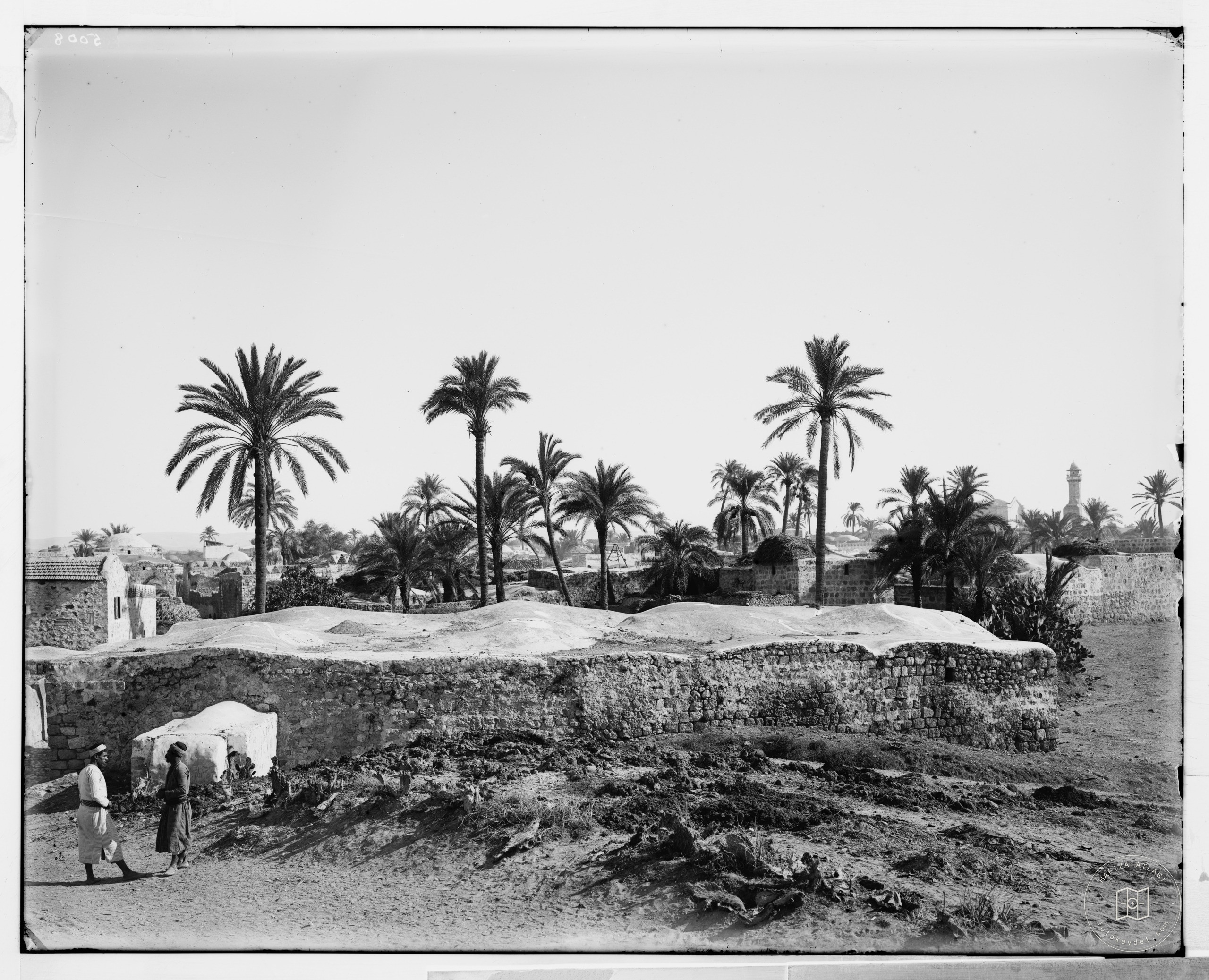 Palms and town surroundings, Lydda